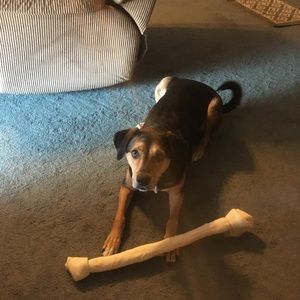 Meet your Posher, Brenda